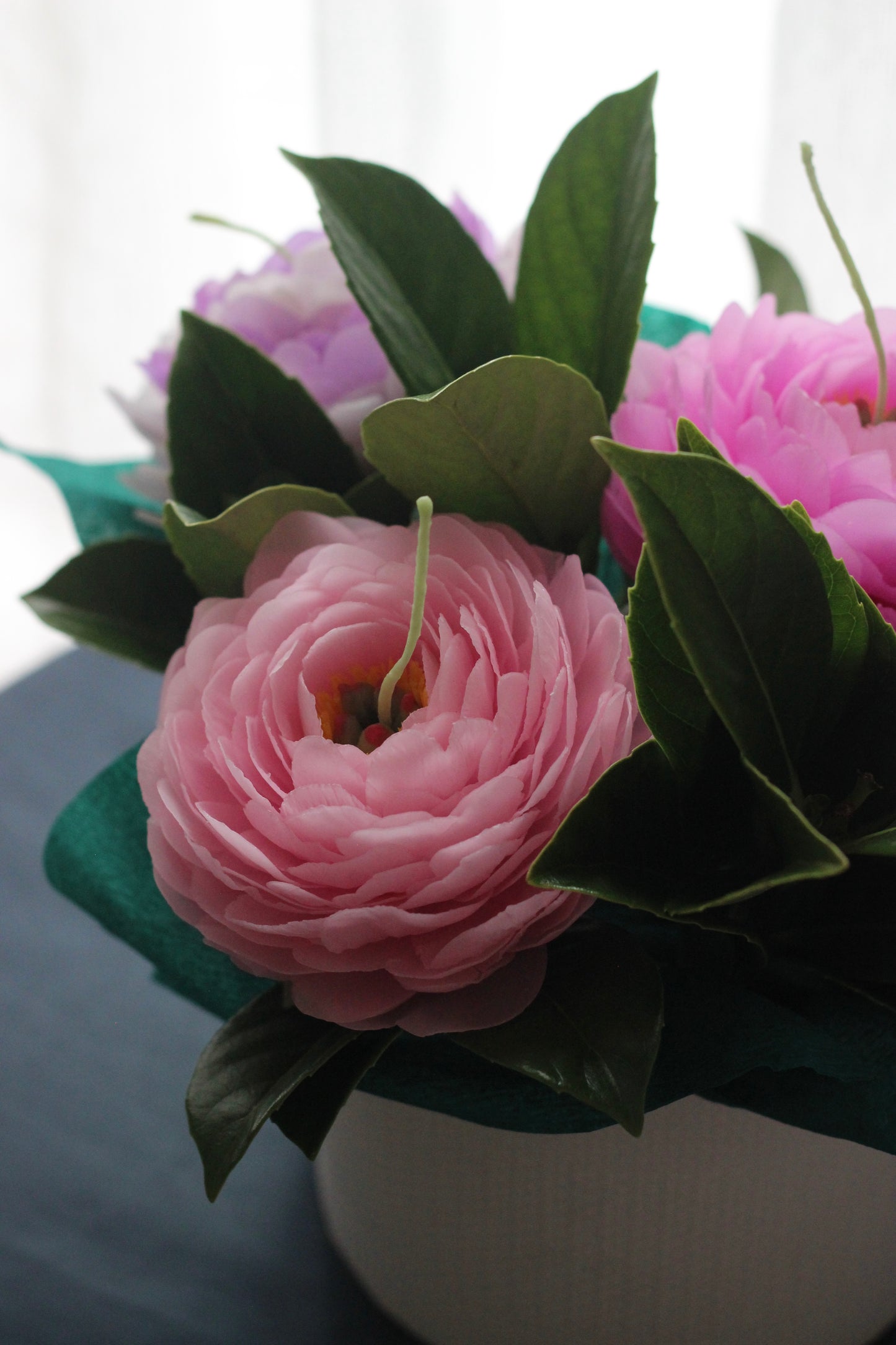 Garden Peony on a stem
