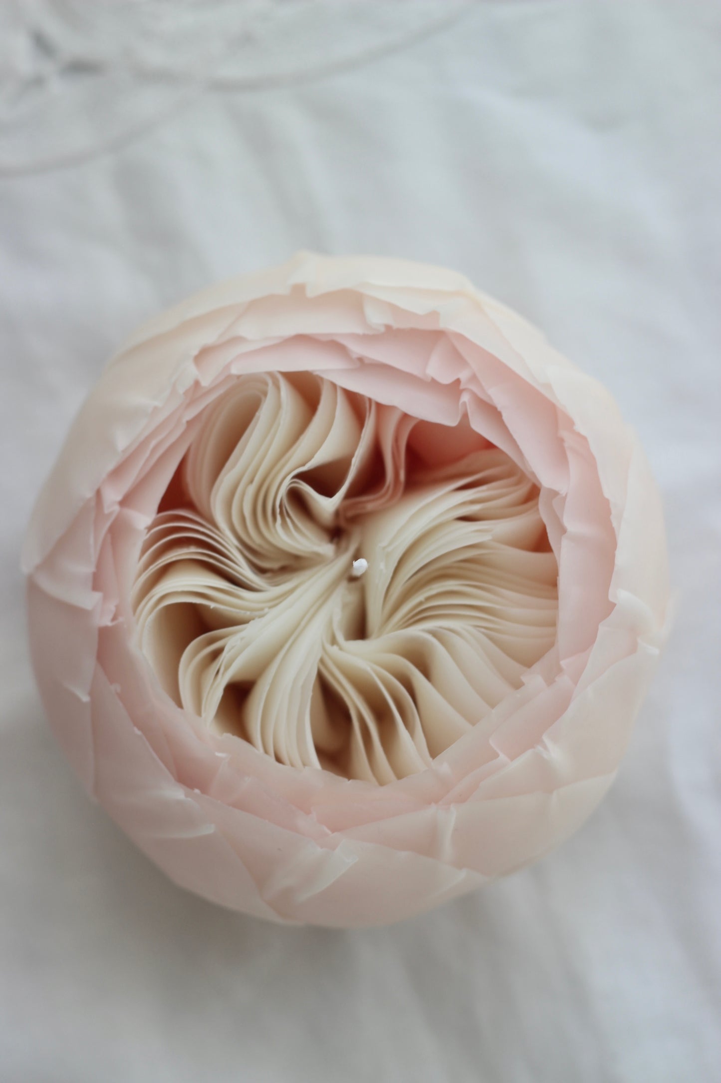 Flower Candle, Handmade candle, Handcrafted candles, Gifts, Premium Candles, Luxury Candles, Pink Rose candles, close look, pink flower