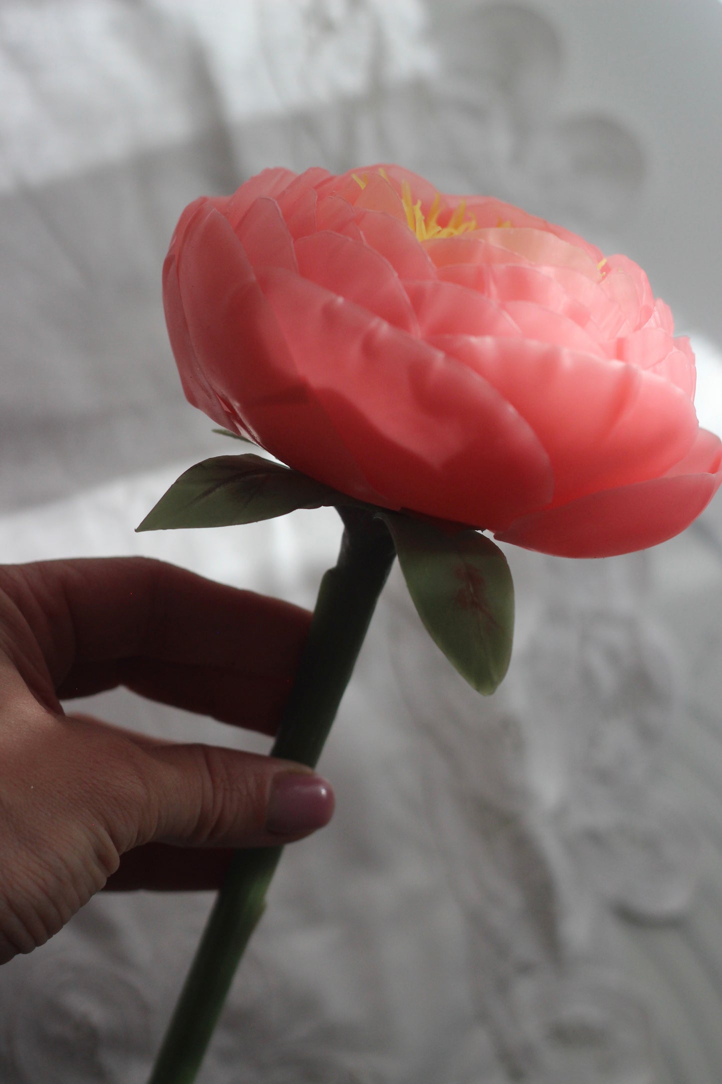 Peony on a stem Coral