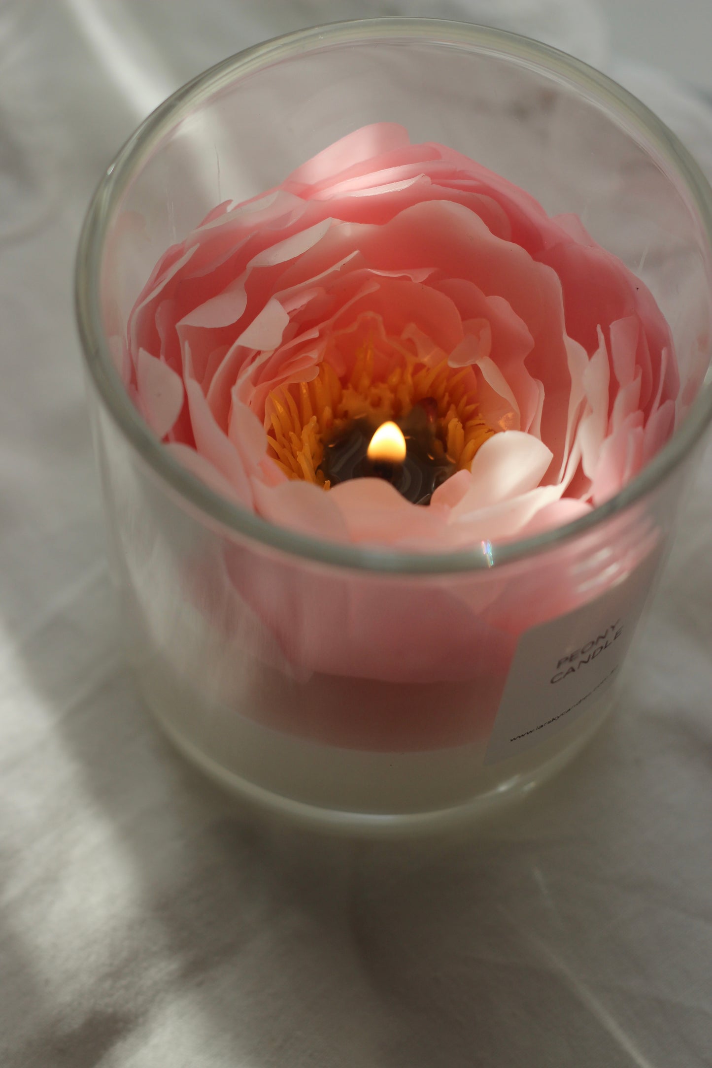 Peony in a glass