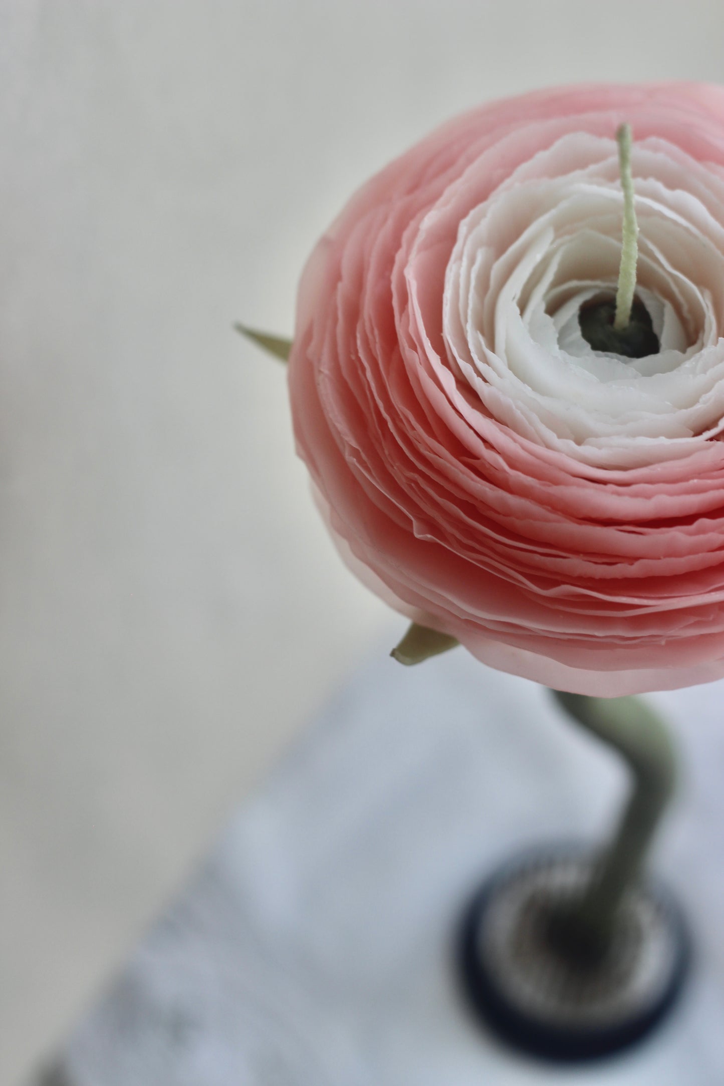 Ranunculus Candle