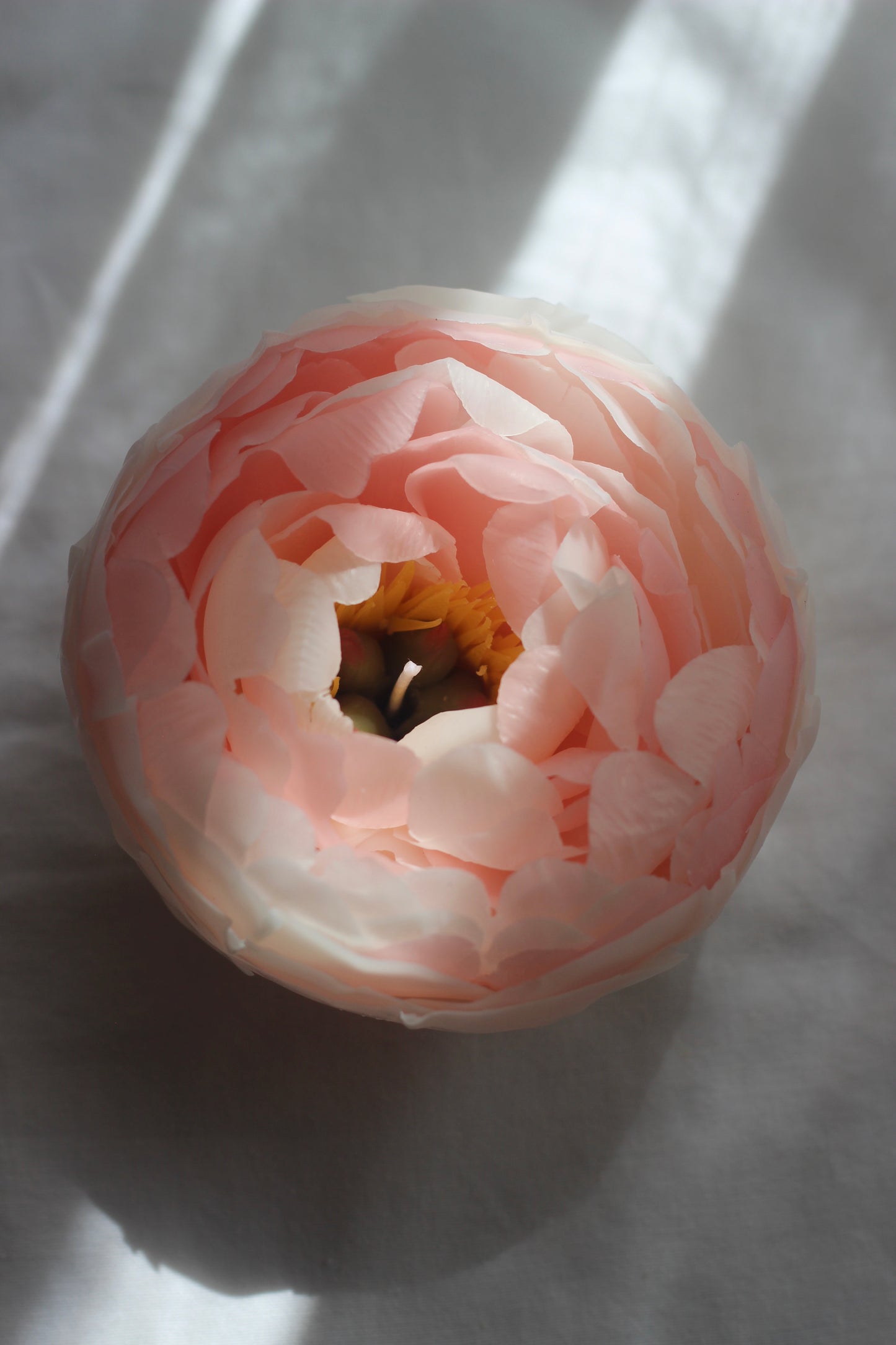 Peony