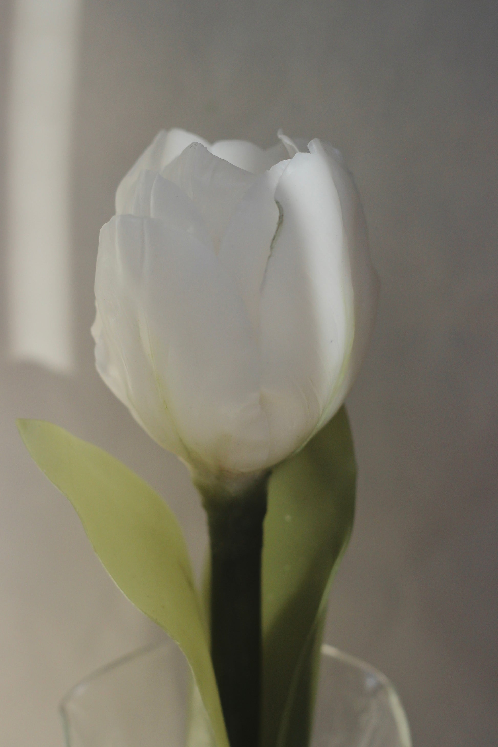 Flower Candle, Flower Candle on a stem, Handmade candle, Handcrafted candles, Gifts, Premium Candles, Luxury Candles, Tulip Candle