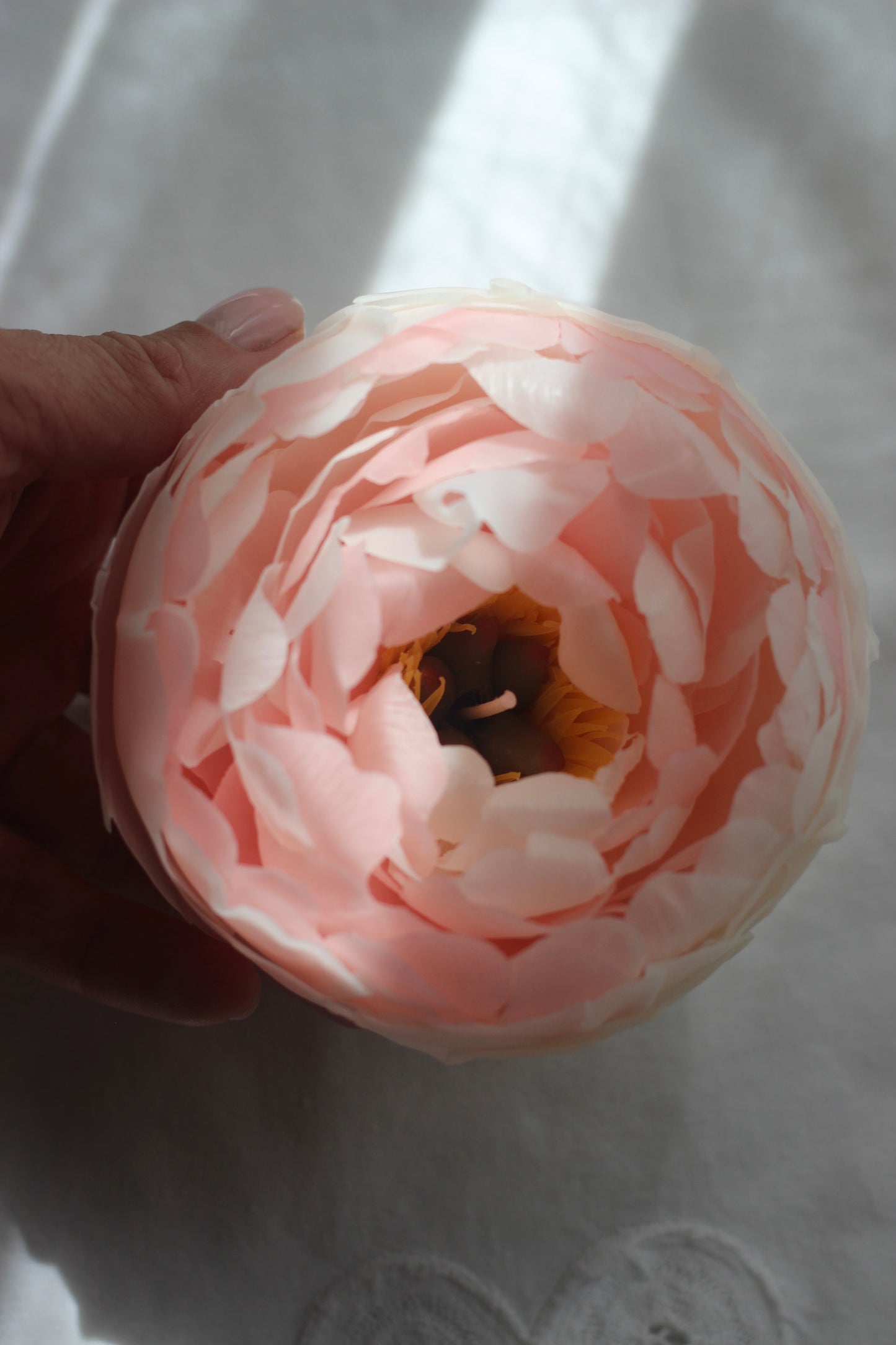 Peony