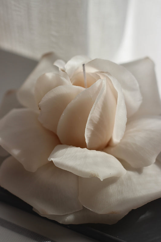 French Rose