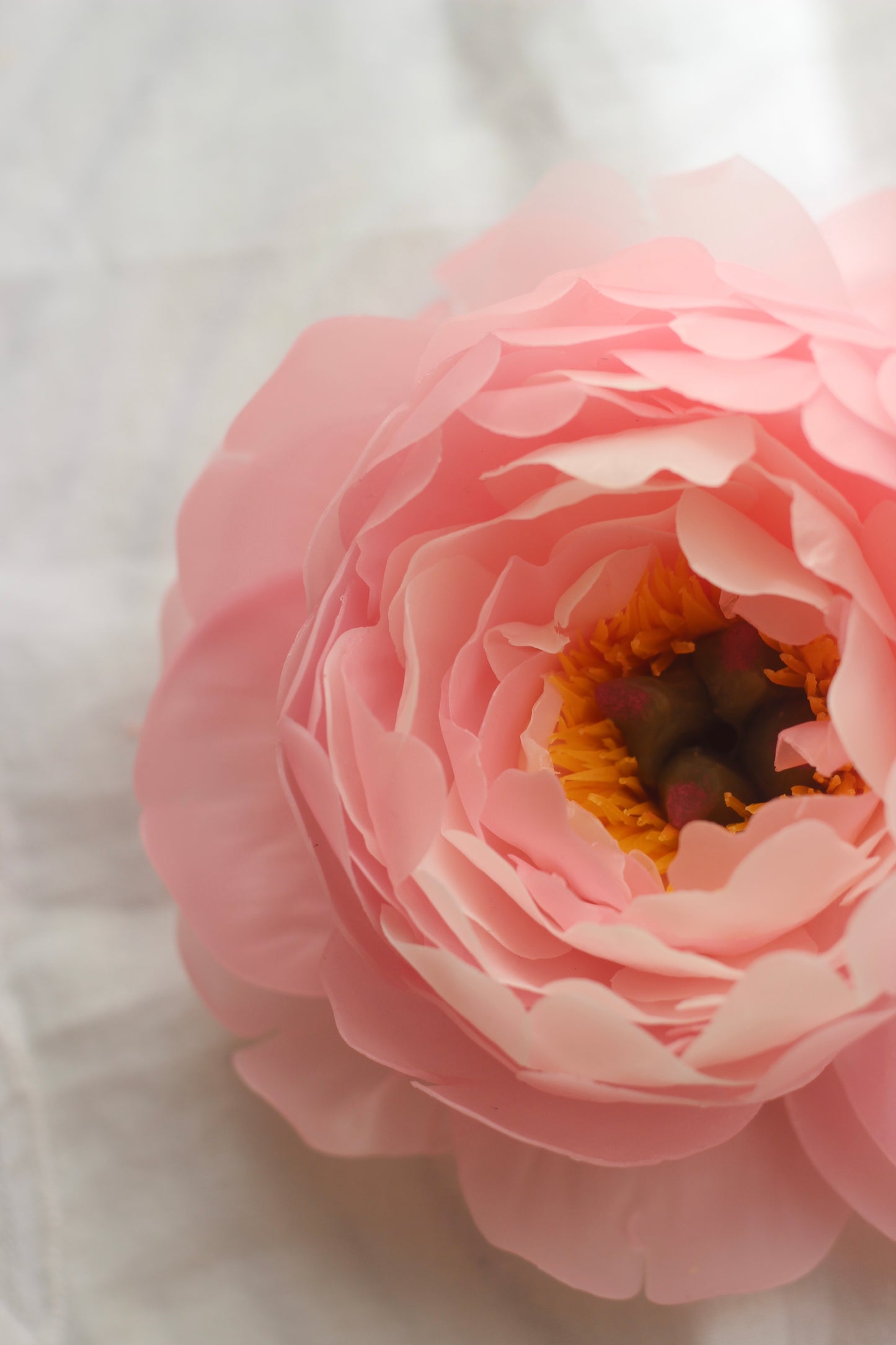 Peony in a glass