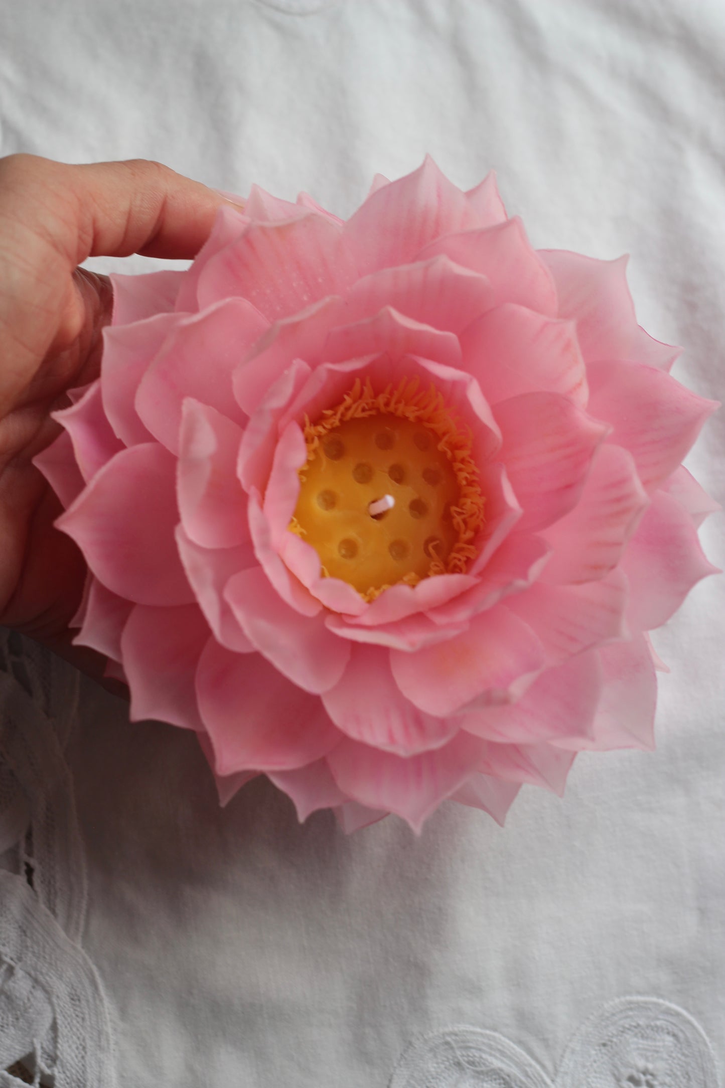Pink Lotus