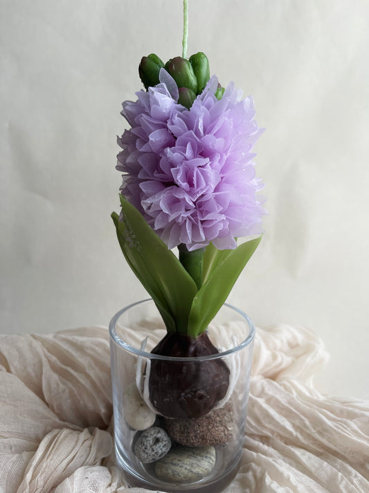 Flower Candle, Flower Candle on a stem, Handmade candle, Handcrafted candles, Gifts, Premium Candles, Luxury Candles, Hyacinth candle, Hyacinth