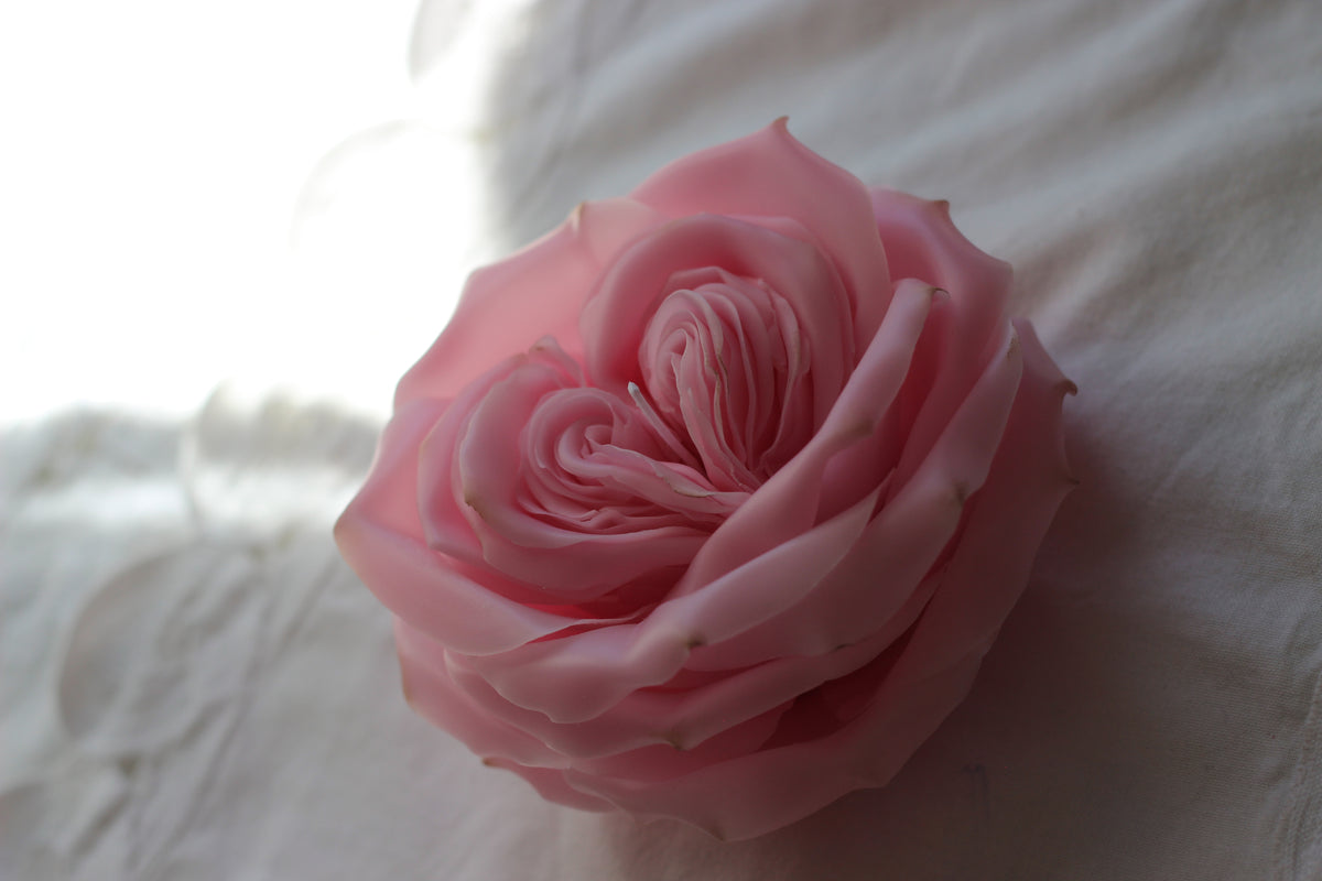 Heart Rose