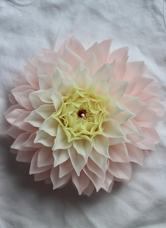 Dahlia with pointy petals