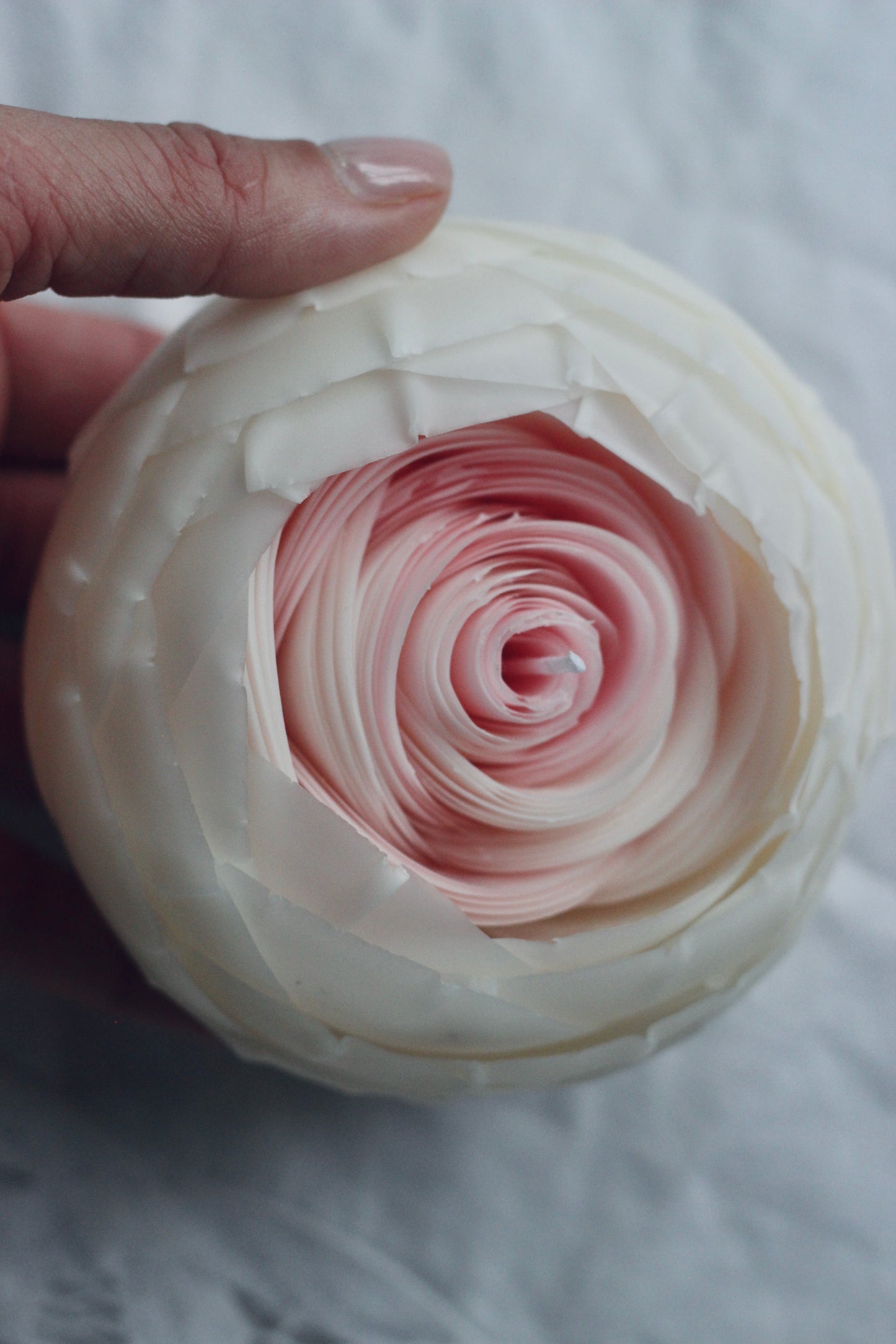 Classic Rose
