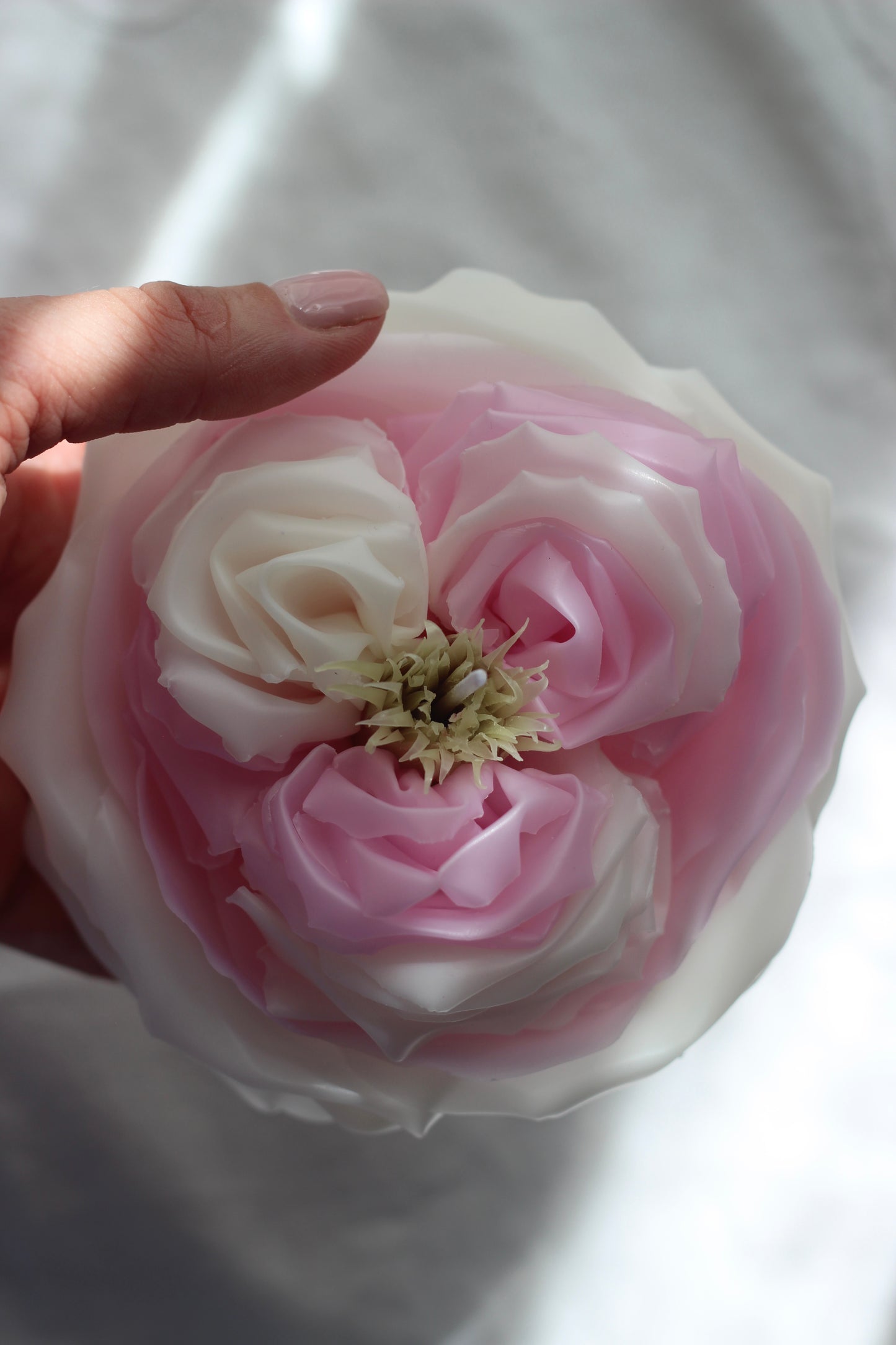 Peony Rose