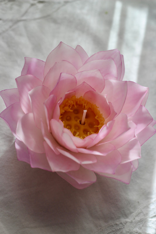 LOTUS