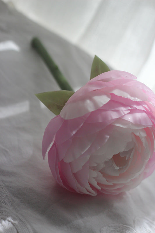 Peony on a stem