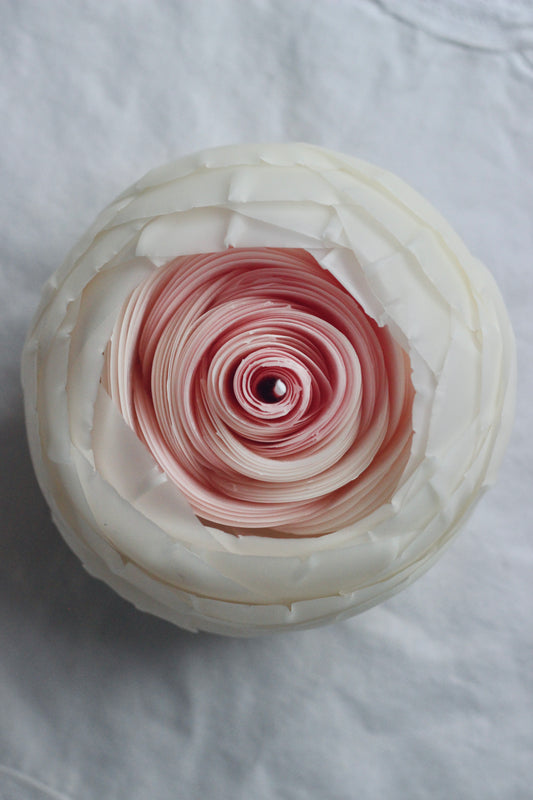 Classic Rose