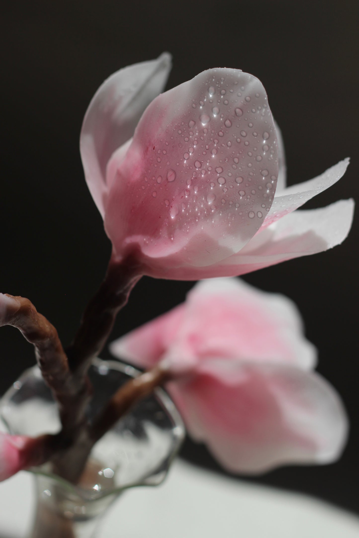 Magnolia Candle