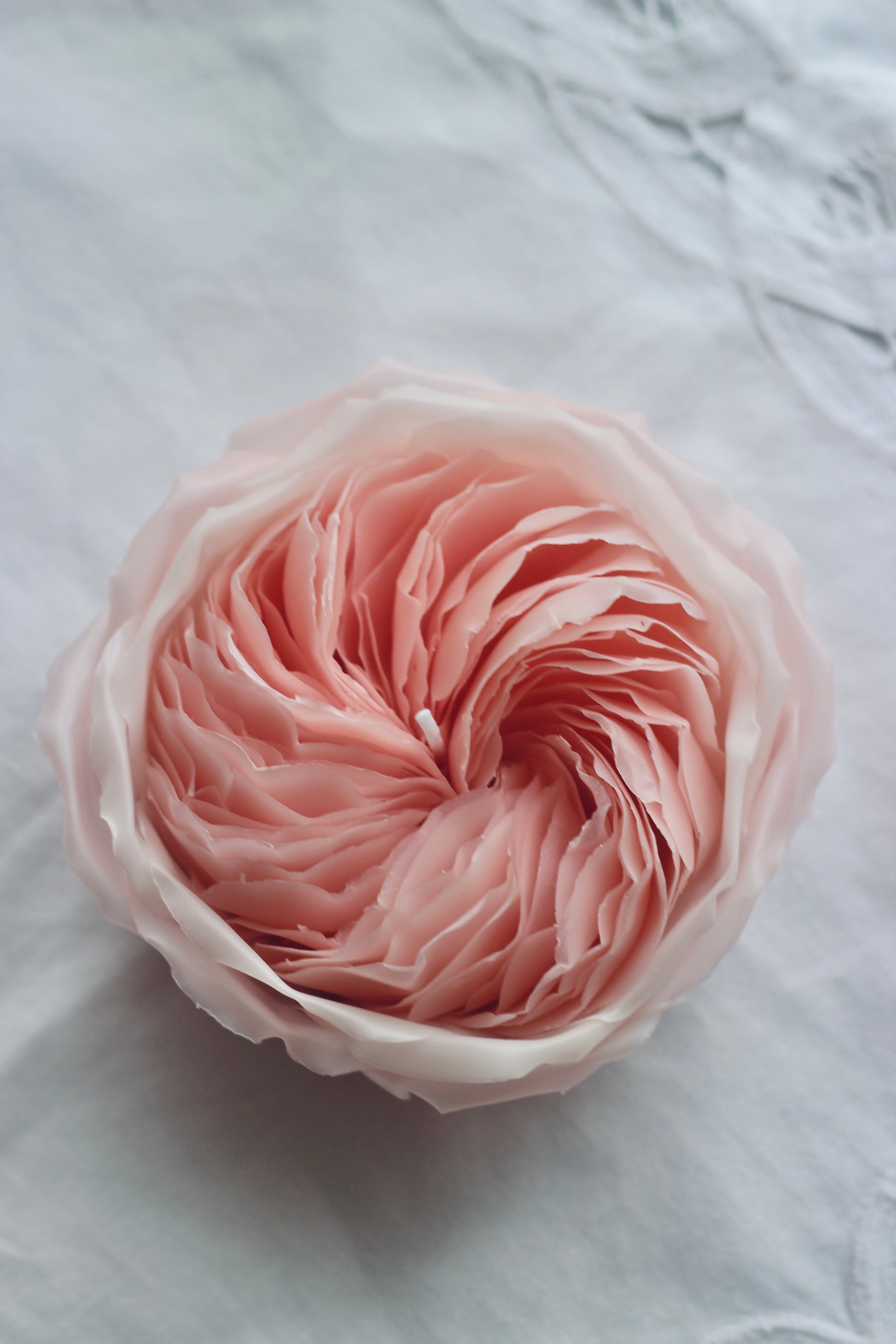 Handmade Flower Candle, Candle Rose, Luxury Candles, Luxury gifts, Wedding Gift, Pink Rose candle