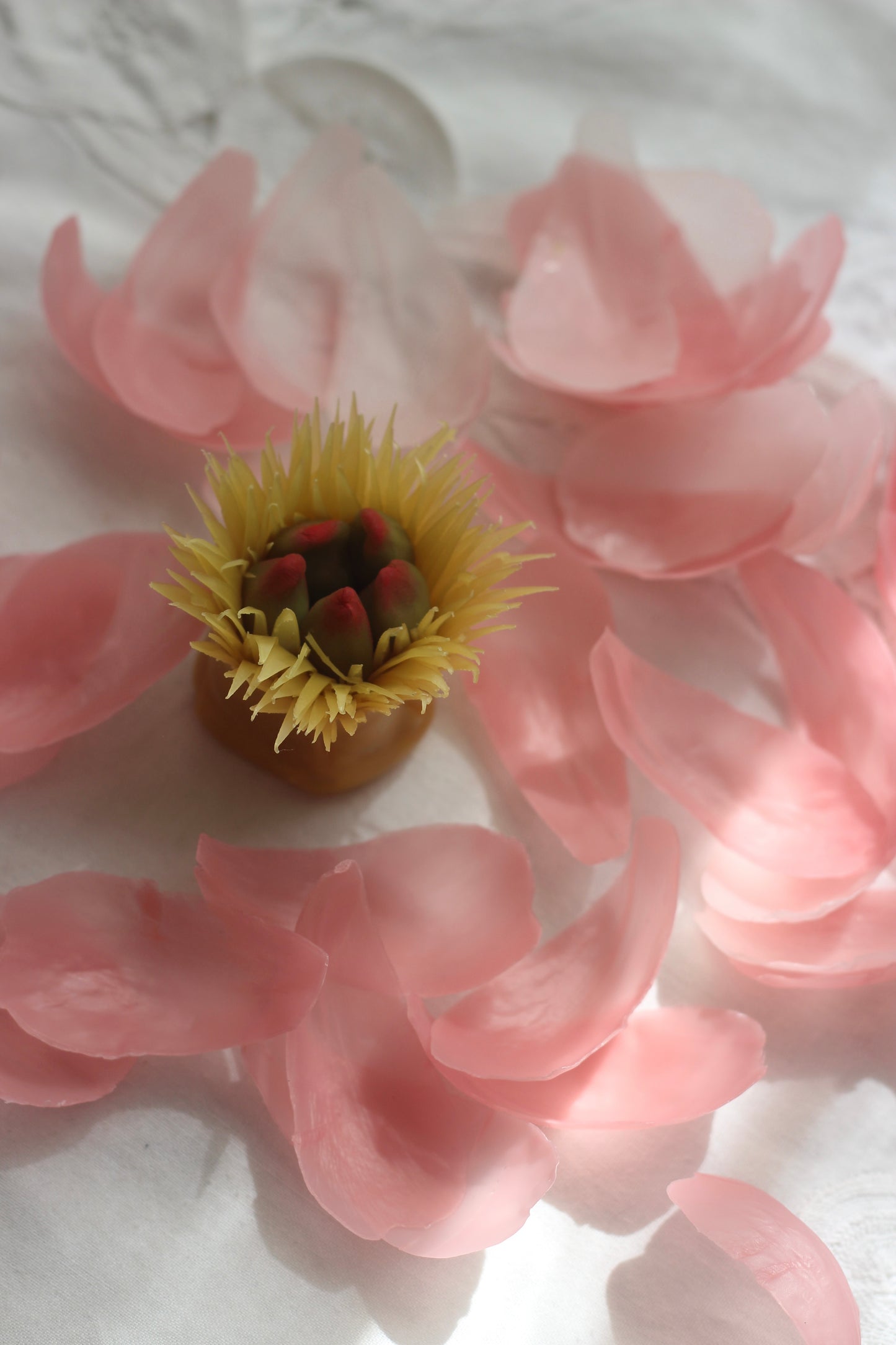Peony