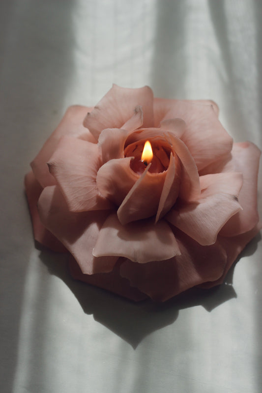 French Rose