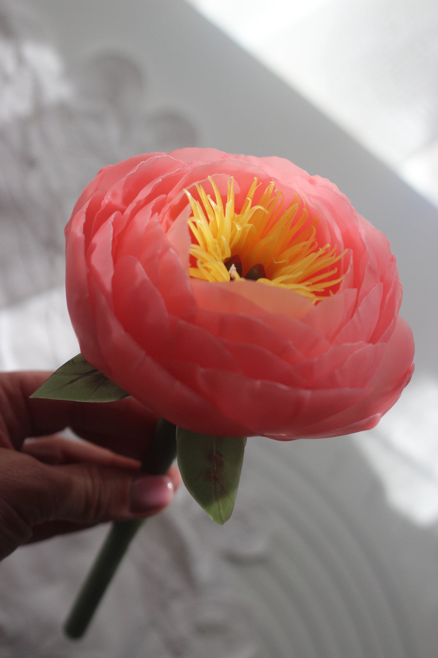 Peony on a stem Coral