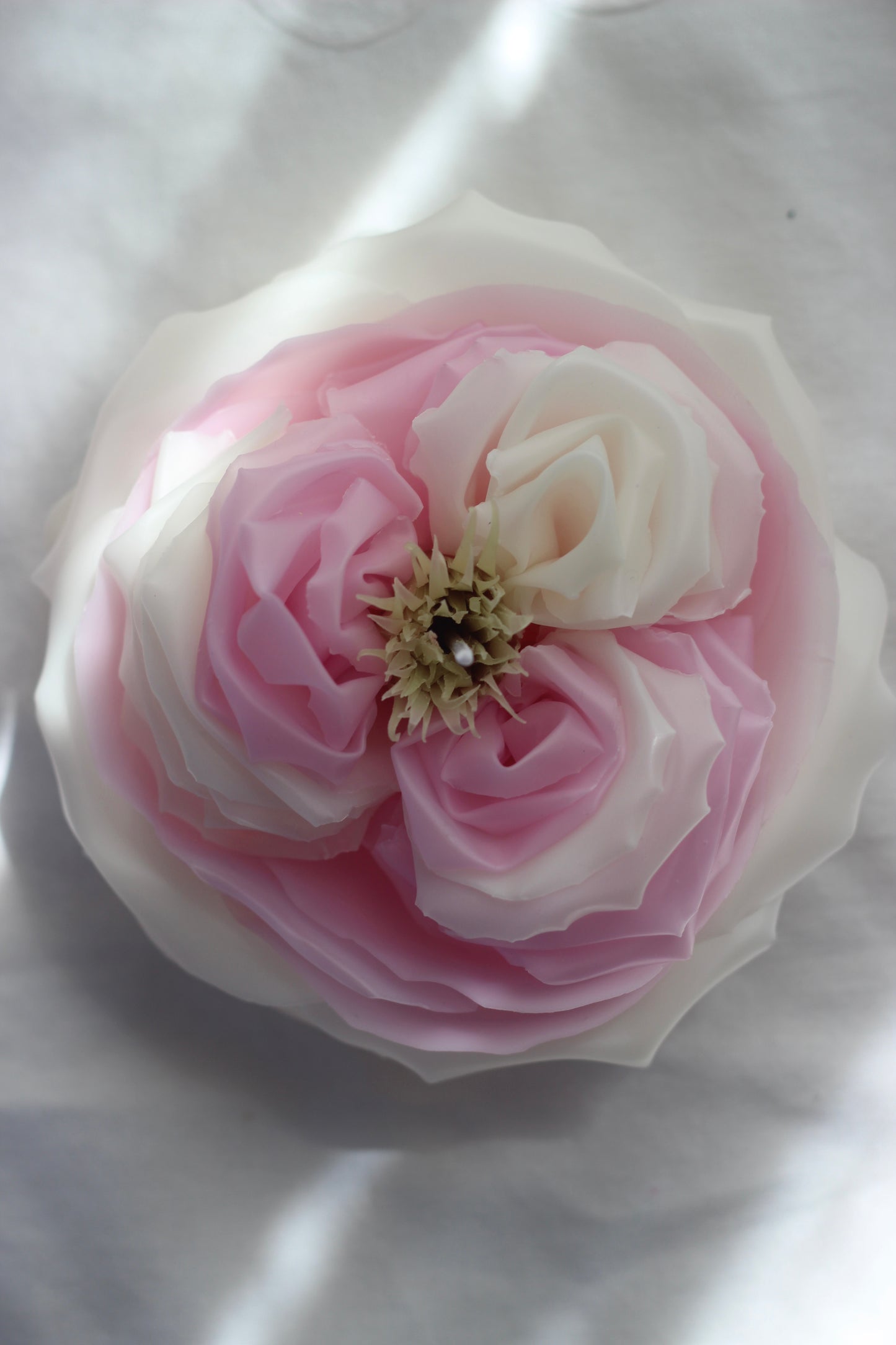 Peony Rose