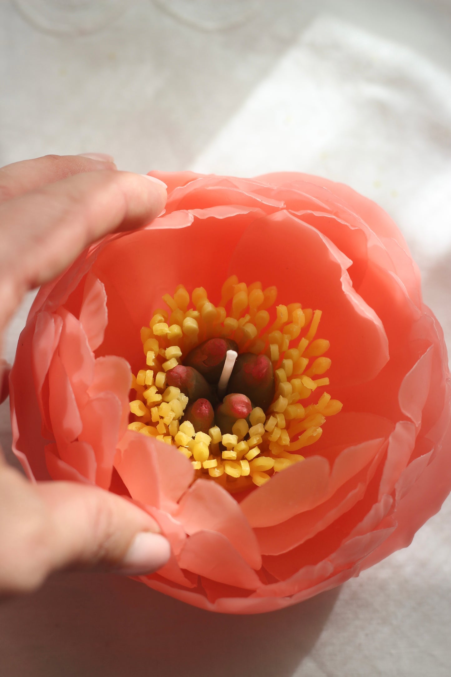 Realistic Peony