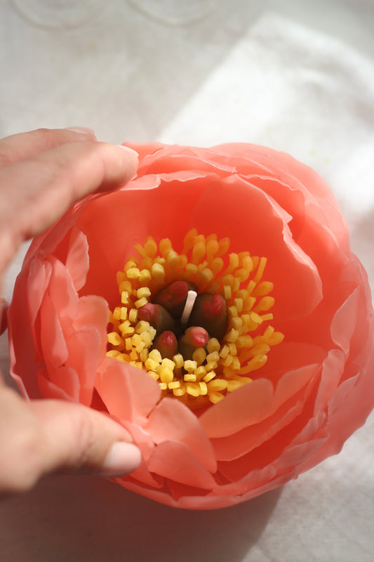 Realistic Peony