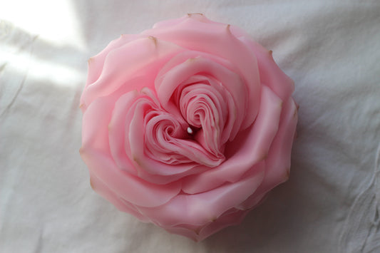 Heart Rose