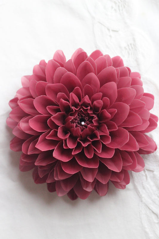 Dahlia Deep Purple
