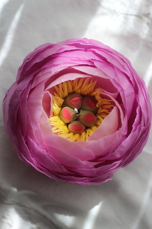 Peony in Orchid